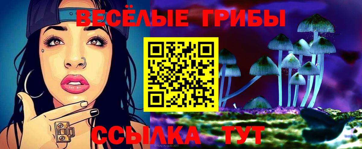Галлюциногенные грибы мухоморы Урюпинск
